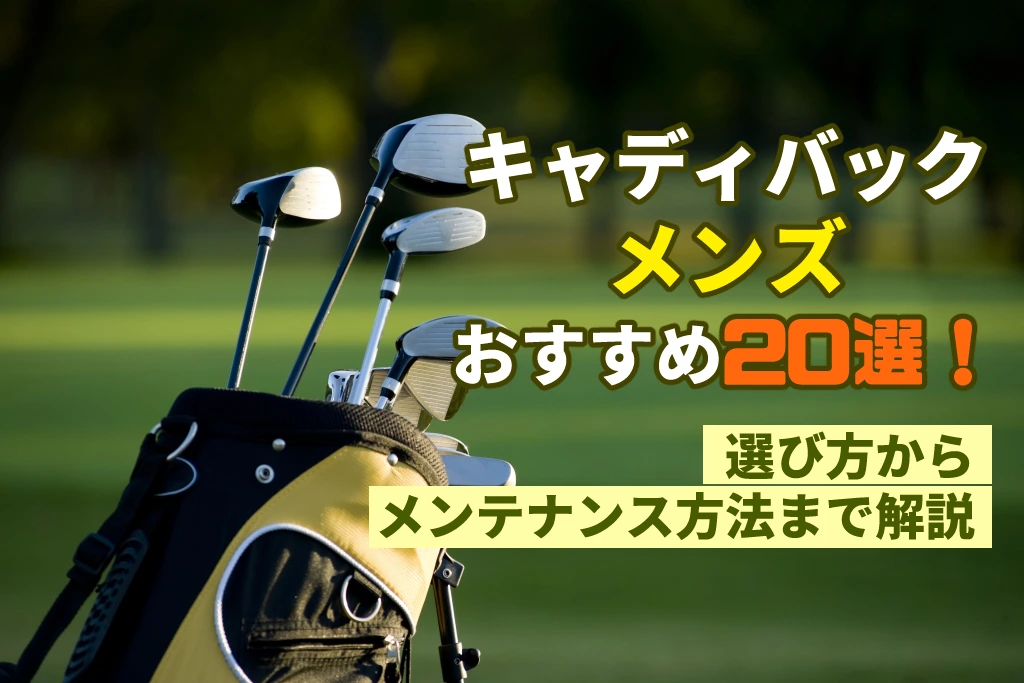 日本最大級 テーラーメイド　メンズクラブセット　キャディーバック　ゴルフバッグ　初心者 クラブ